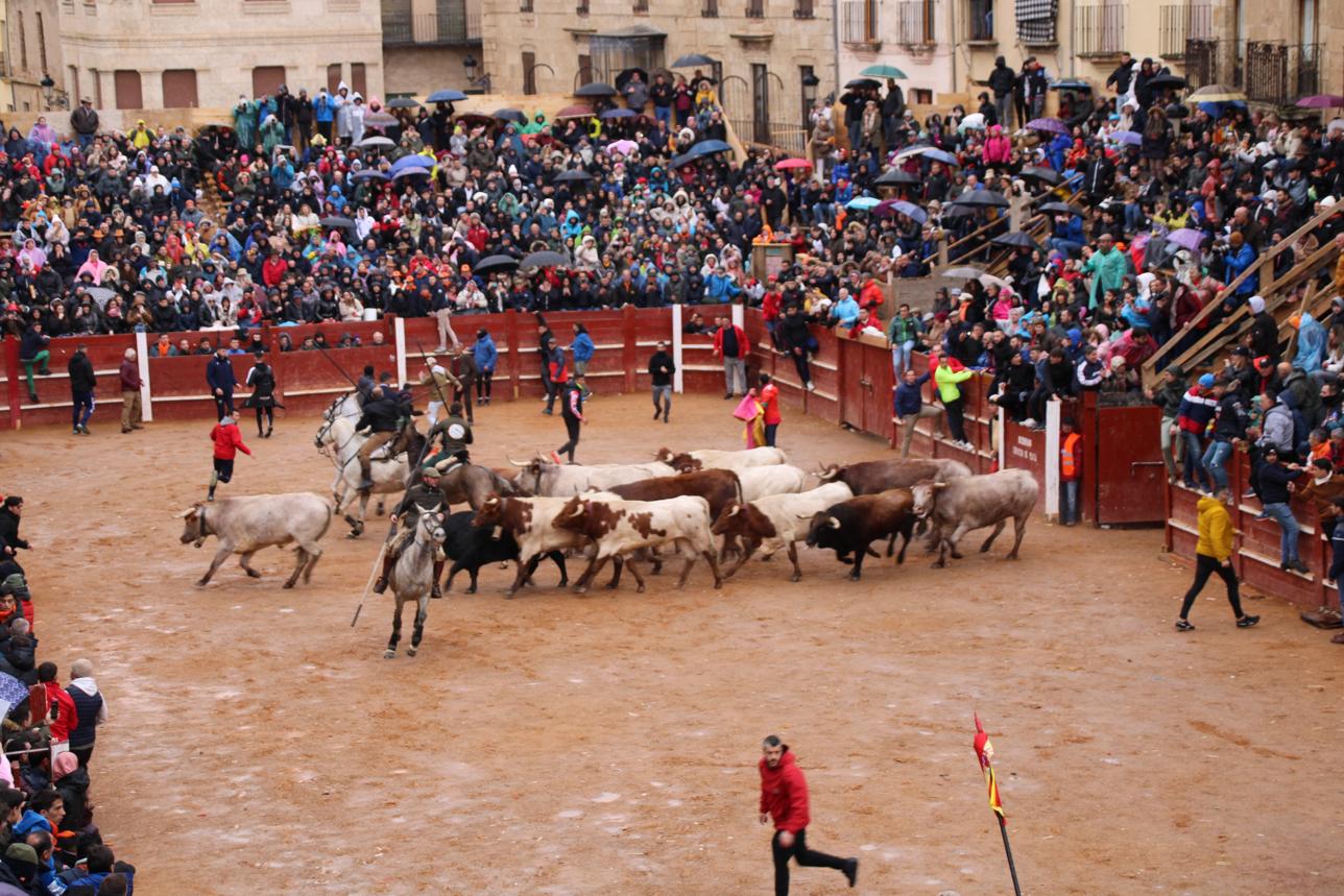 Encierro a caballo del Carnaval del Toro de Ciudad Rodrigo