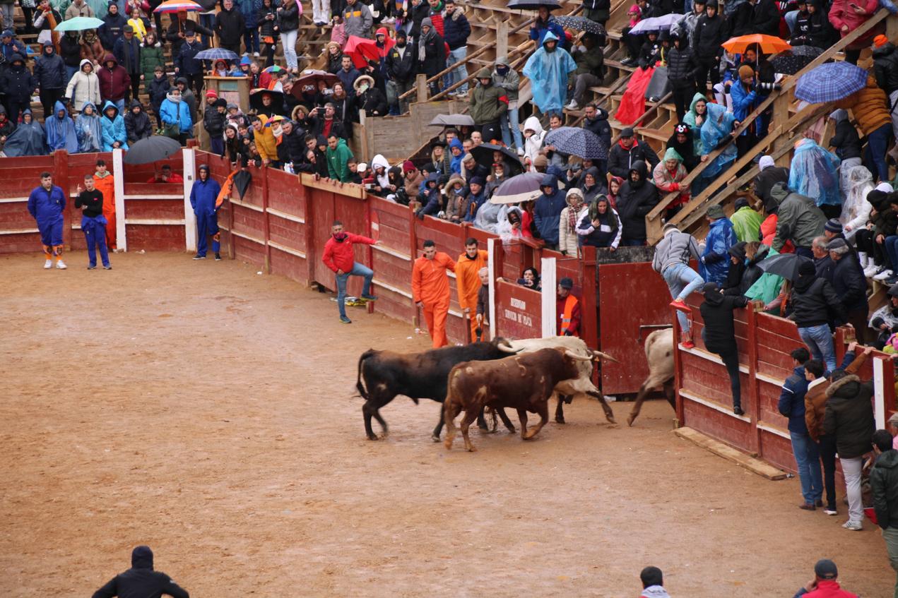 Desencierro del domingo de Carnaval 