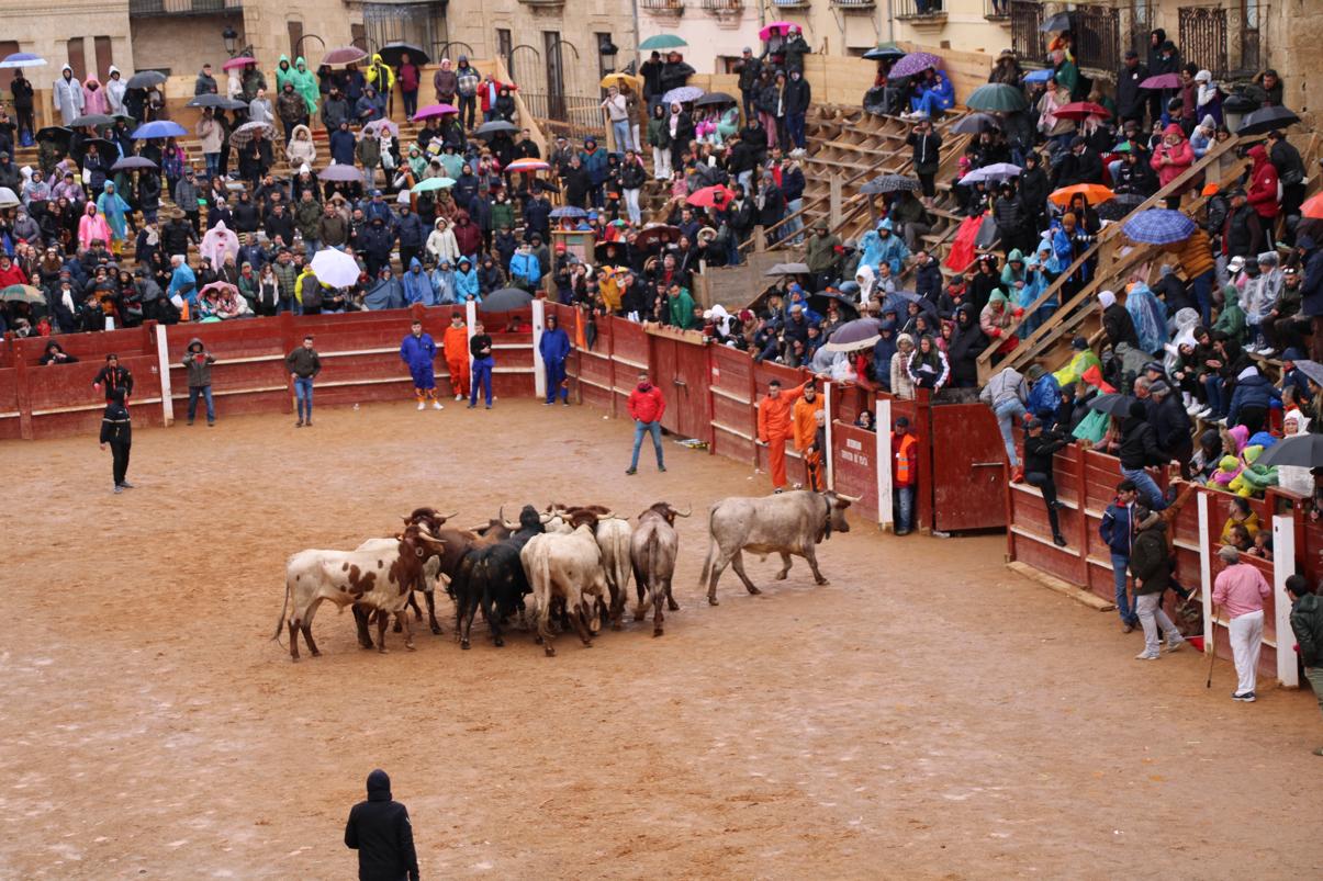 Desencierro del domingo de Carnaval 