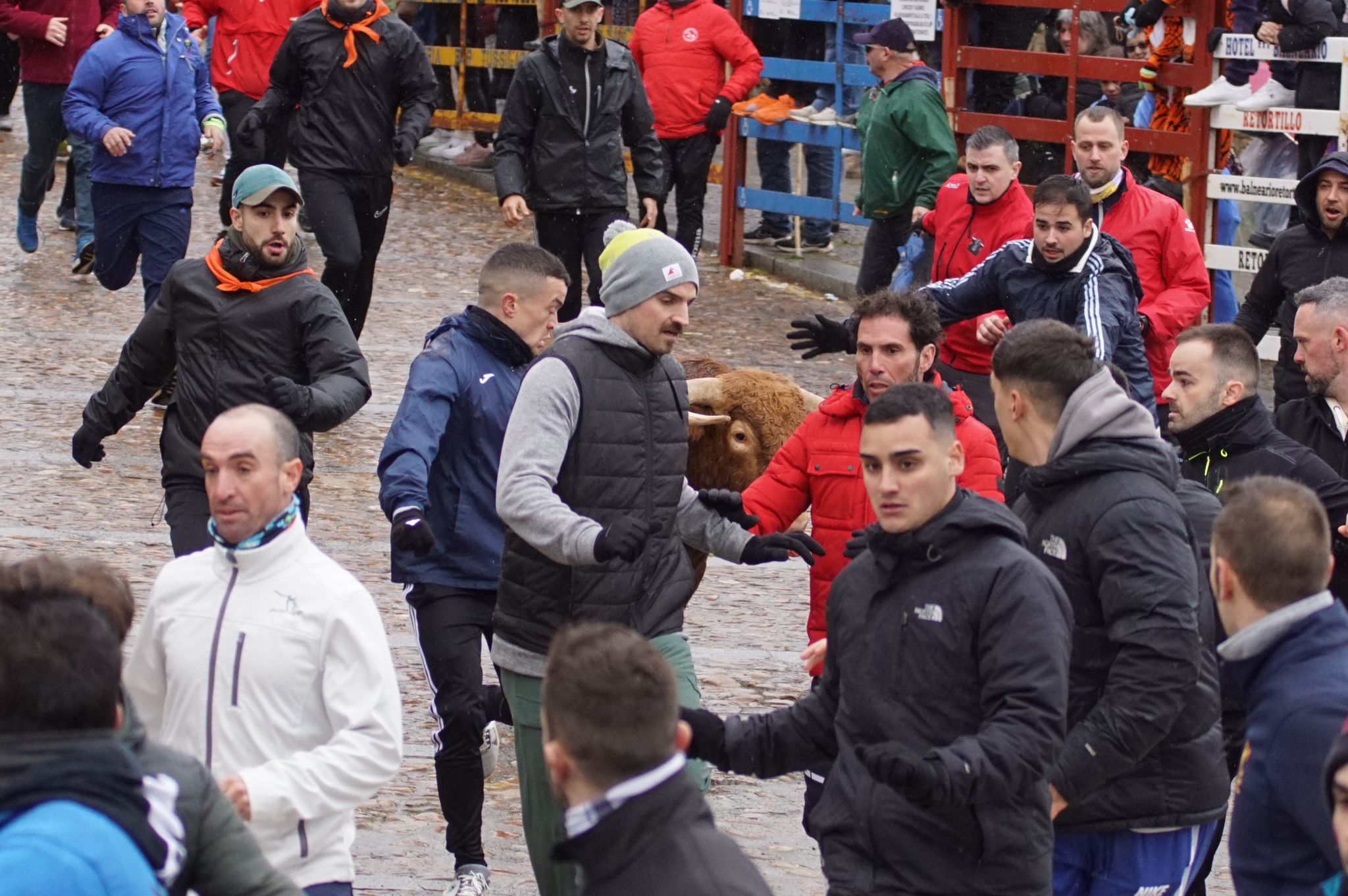 Capea del domingo de Carnaval por la mañana tras el encierro de a caballo. Fotos: Juanes