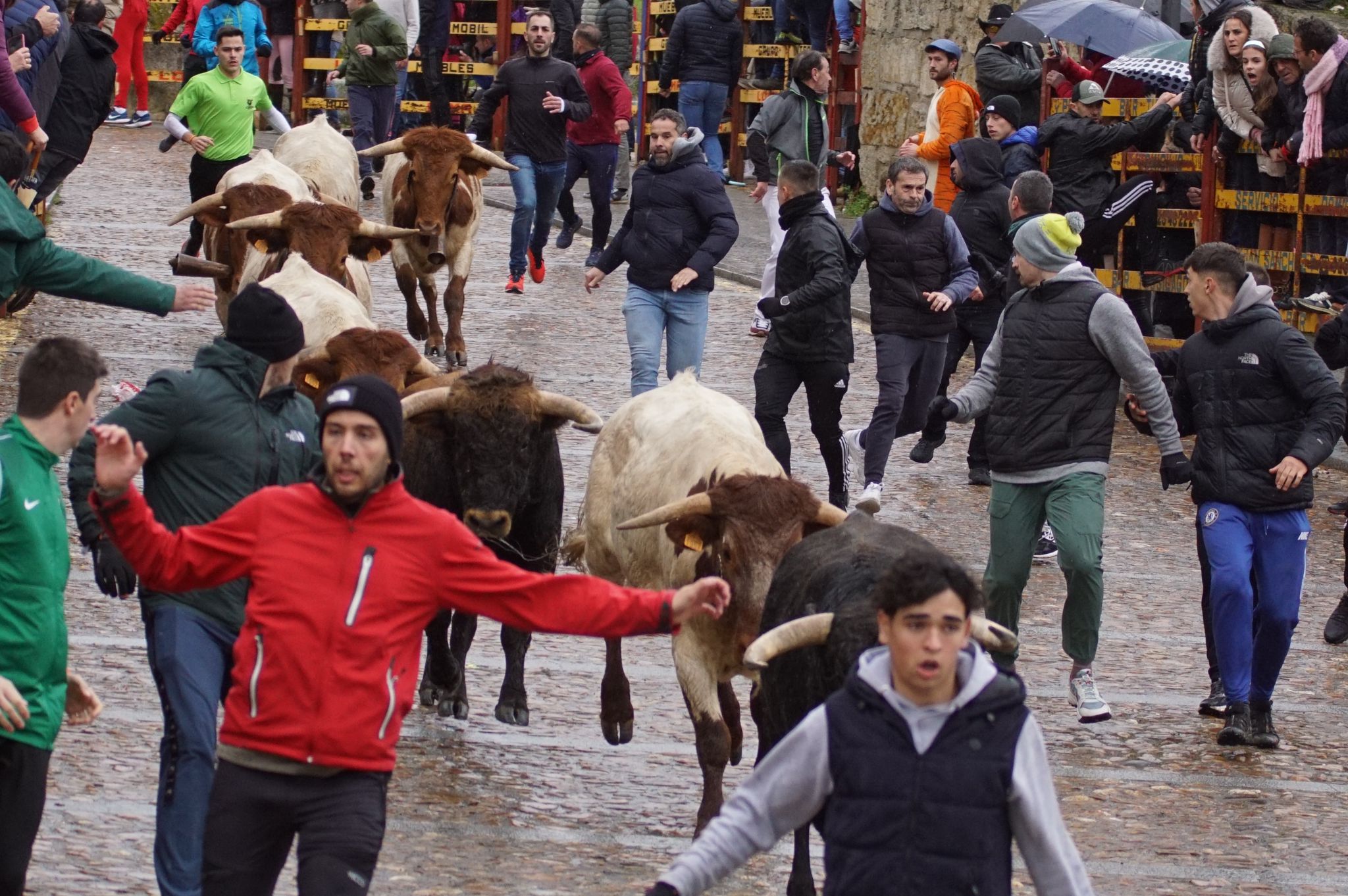 Capea del domingo de Carnaval por la mañana tras el encierro de a caballo. Fotos: Juanes