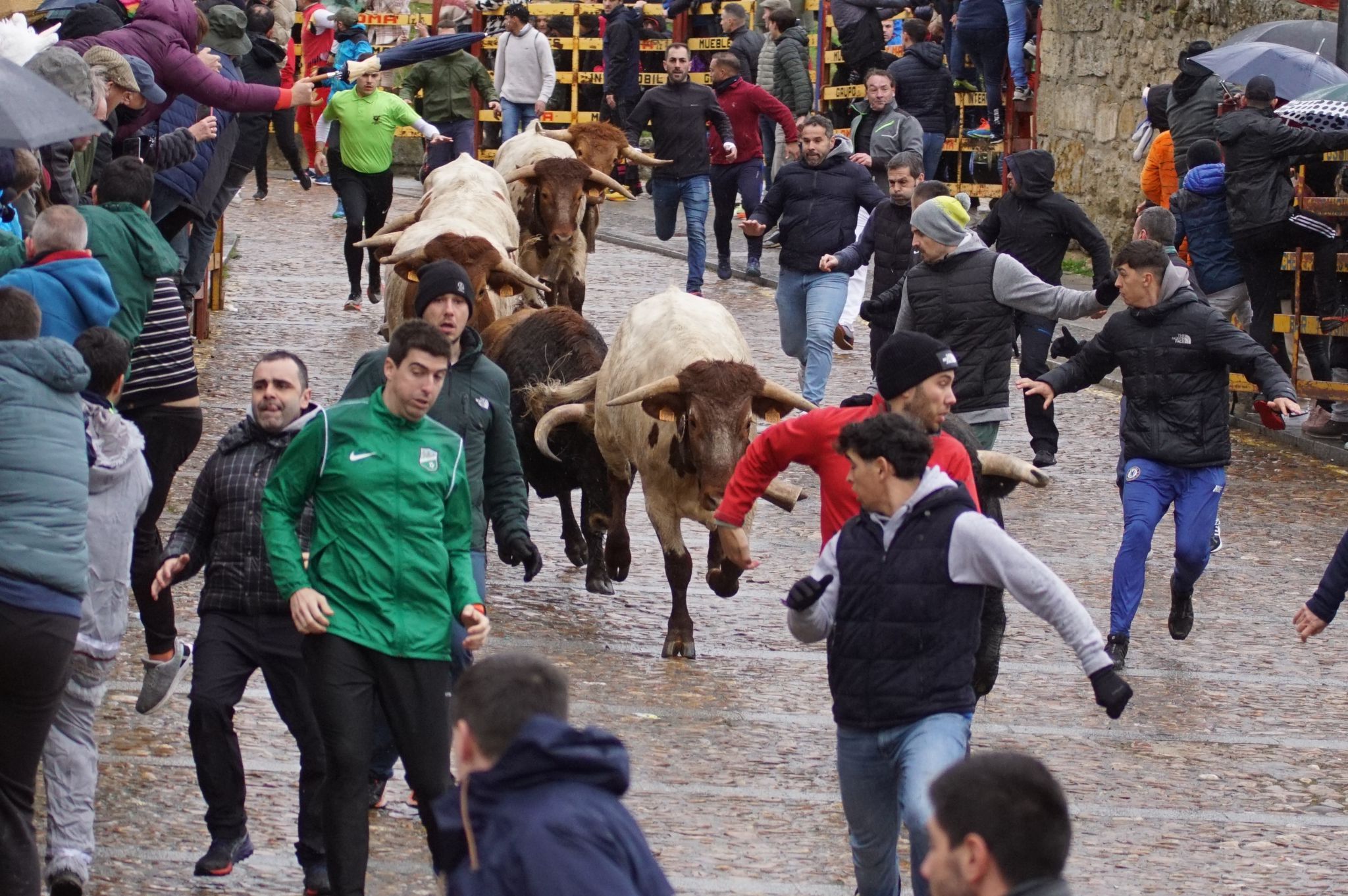 Capea del domingo de Carnaval por la mañana tras el encierro de a caballo. Fotos: Juanes