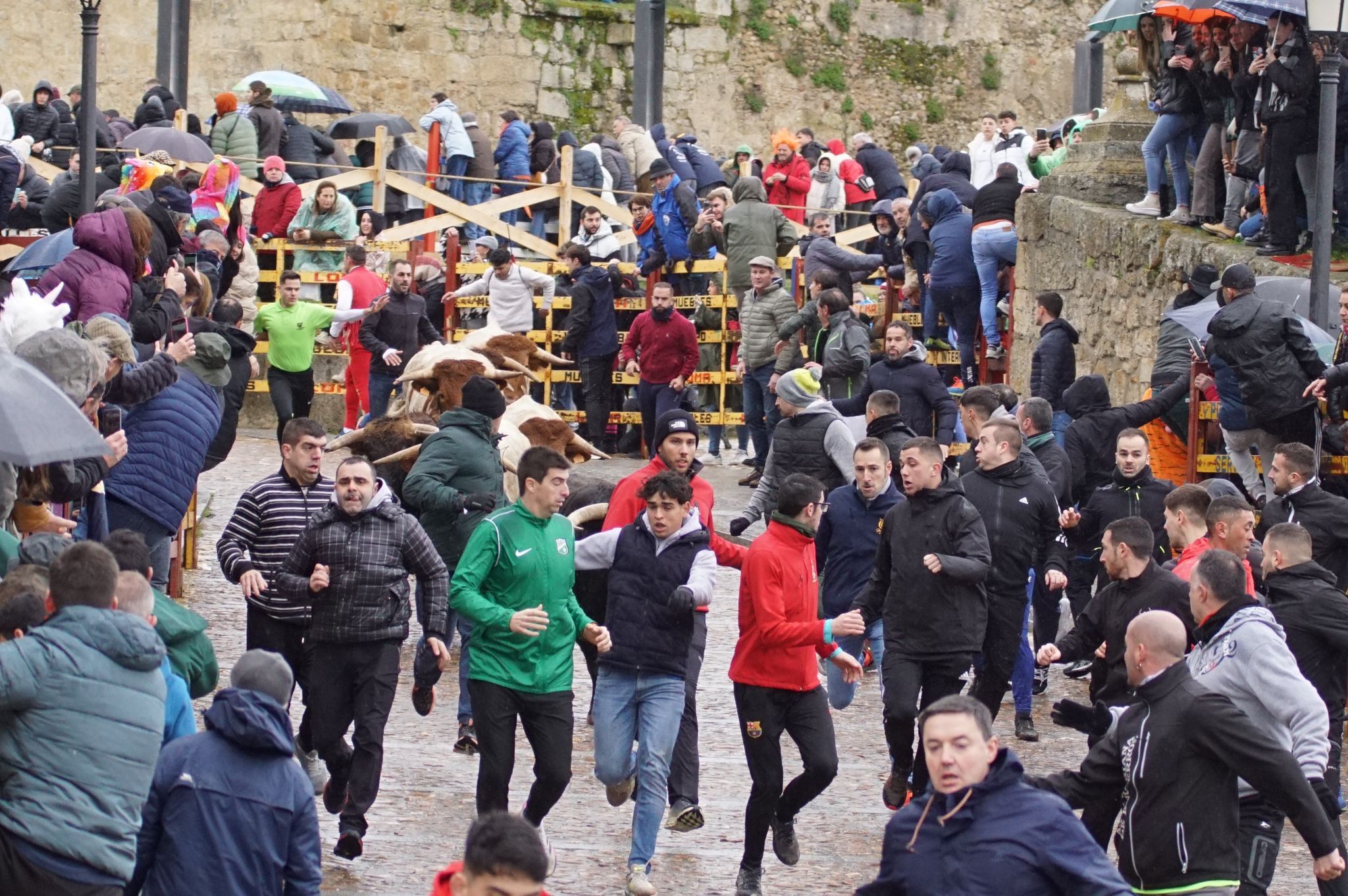 Capea del domingo de Carnaval por la mañana tras el encierro de a caballo. Fotos: Juanes