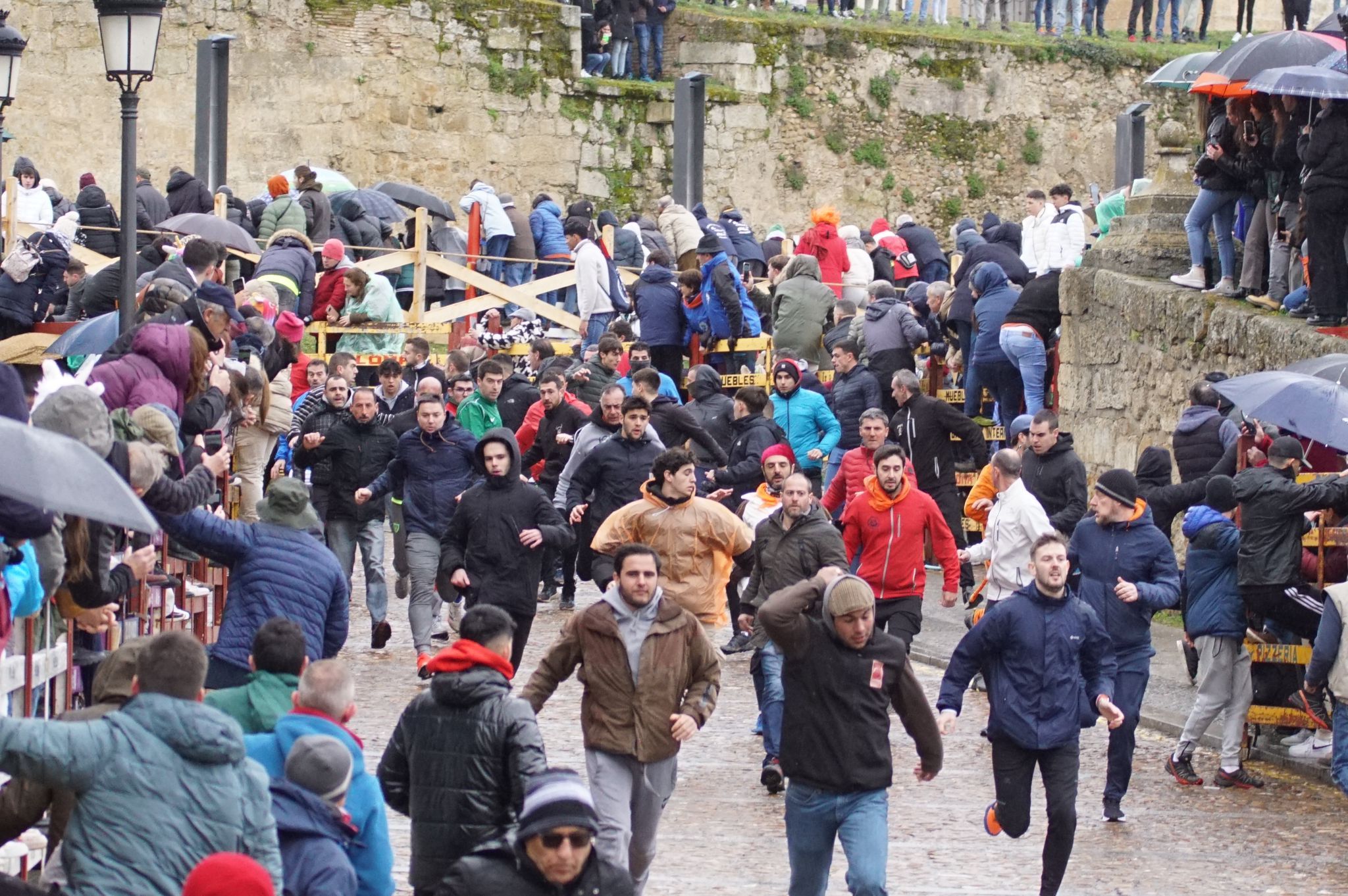 Capea del domingo de Carnaval por la mañana tras el encierro de a caballo. Fotos: Juanes