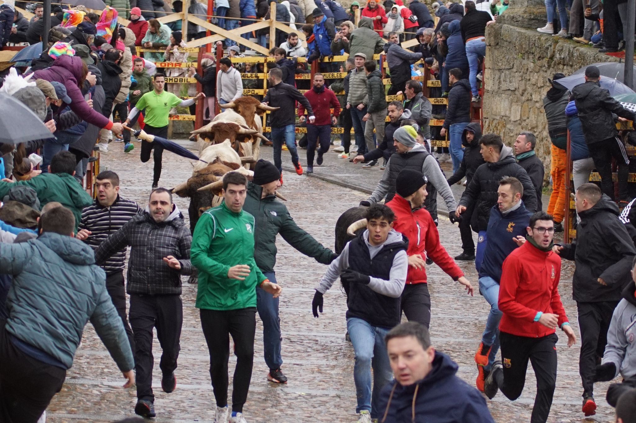 Capea del domingo de Carnaval por la mañana tras el encierro de a caballo. Fotos: Juanes