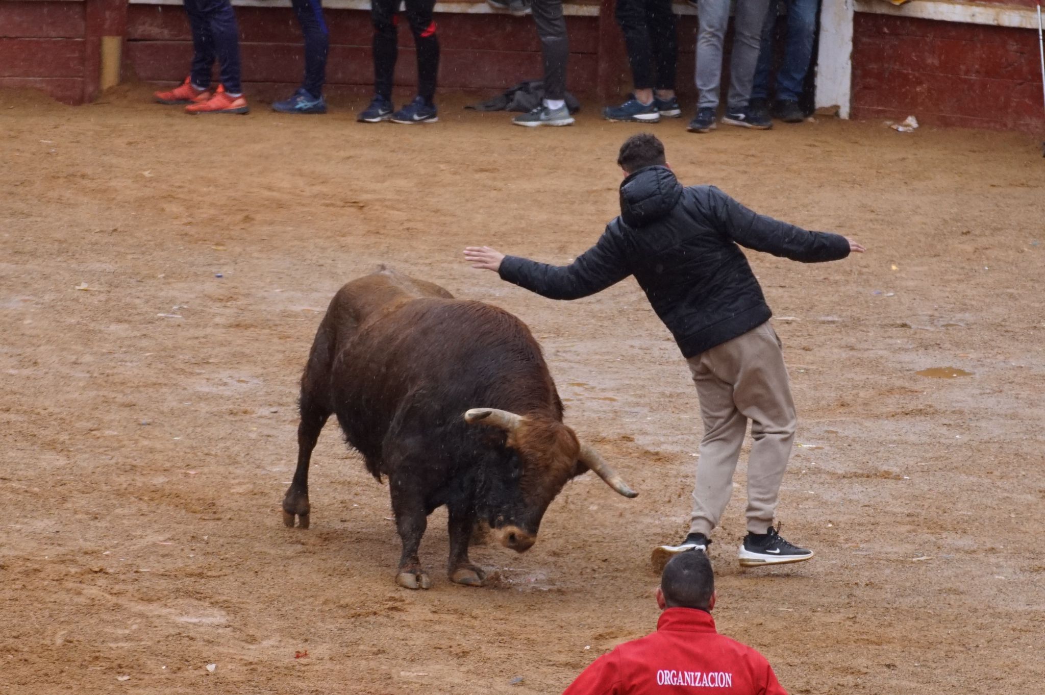 Capea del domingo de Carnaval por la mañana tras el encierro de a caballo. Fotos: Juanes