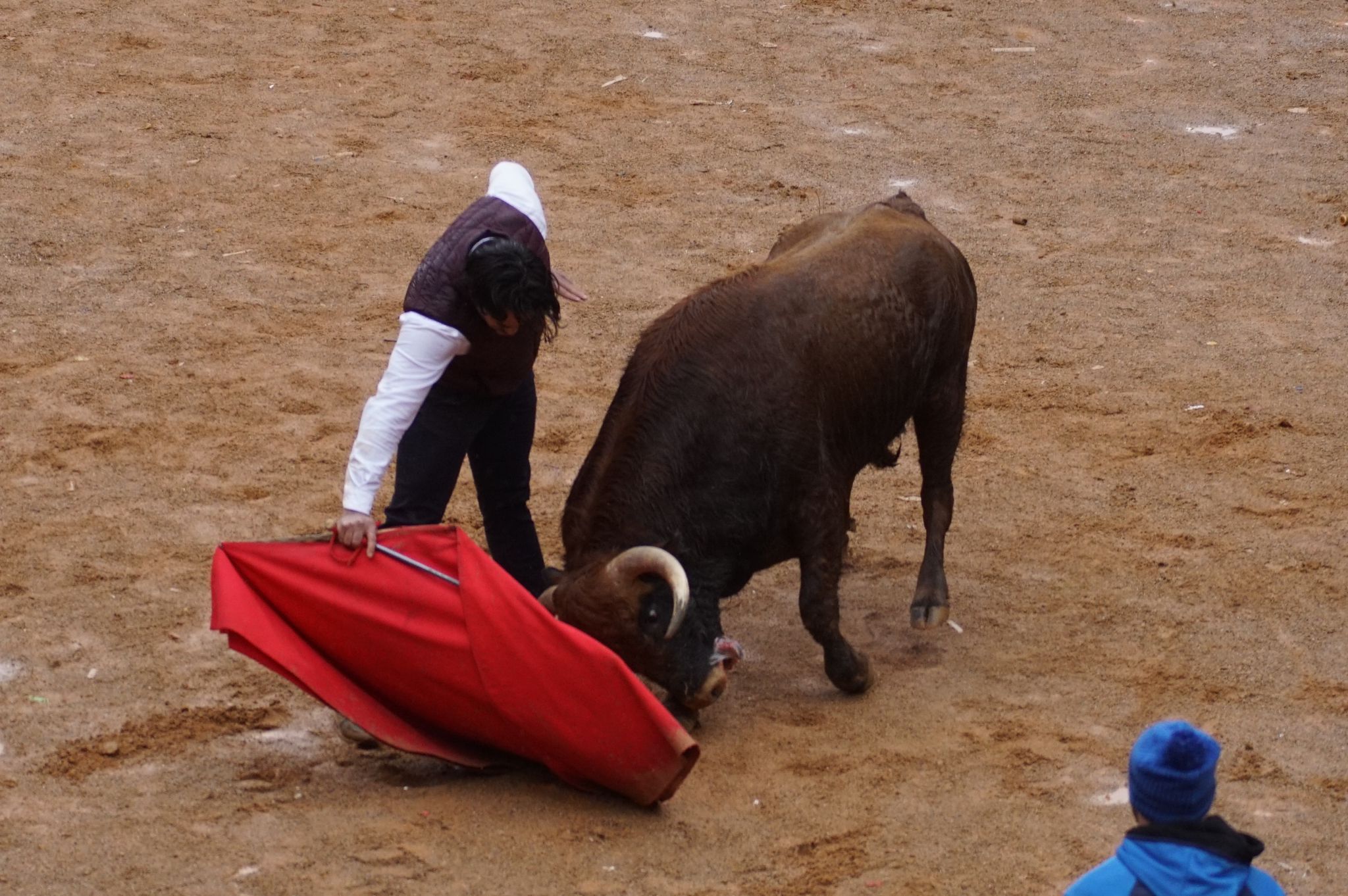 Capea del domingo de Carnaval por la mañana tras el encierro de a caballo. Fotos: Juanes