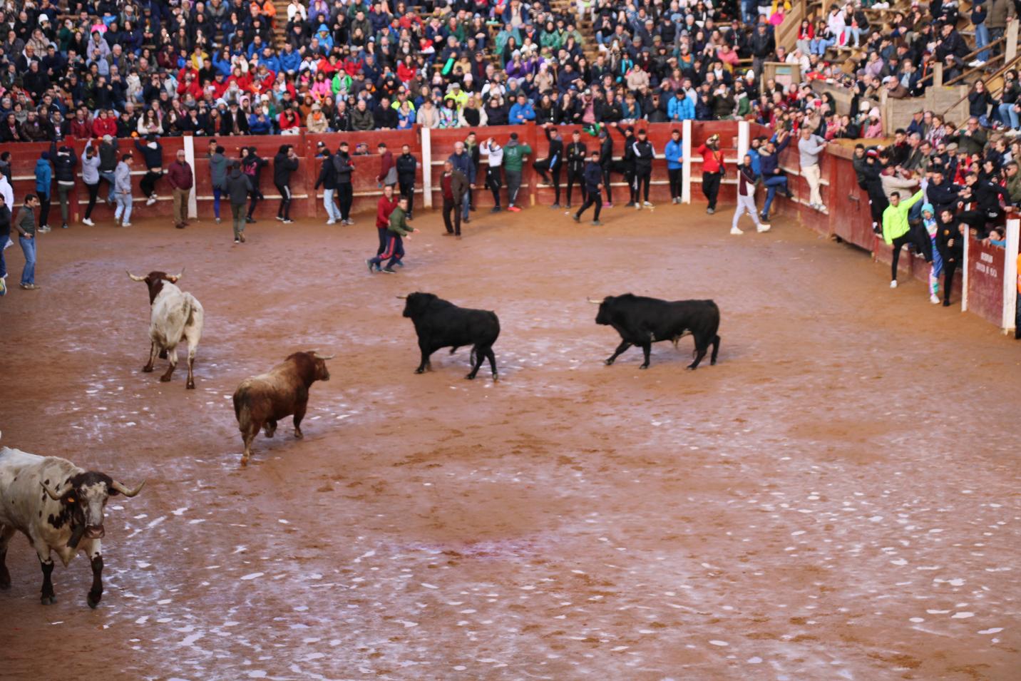 Ambiente encierro urbano lunes de Carnaval en Ciudad Rodrigo, 12 de febrero de 2024. Fotos S24H (1)