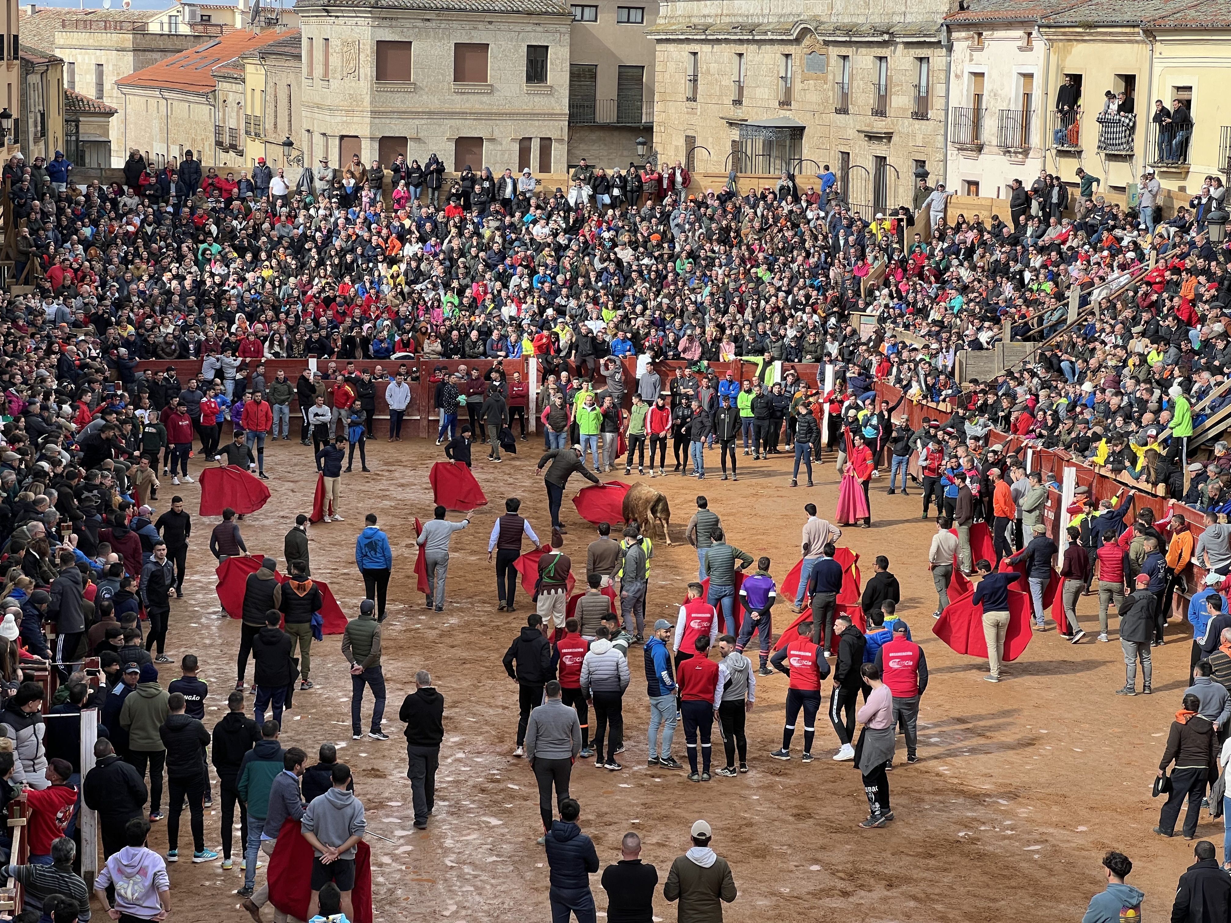 Capea matutina del lunes de Carnaval en Ciudad Rodrigo. Foto S24H