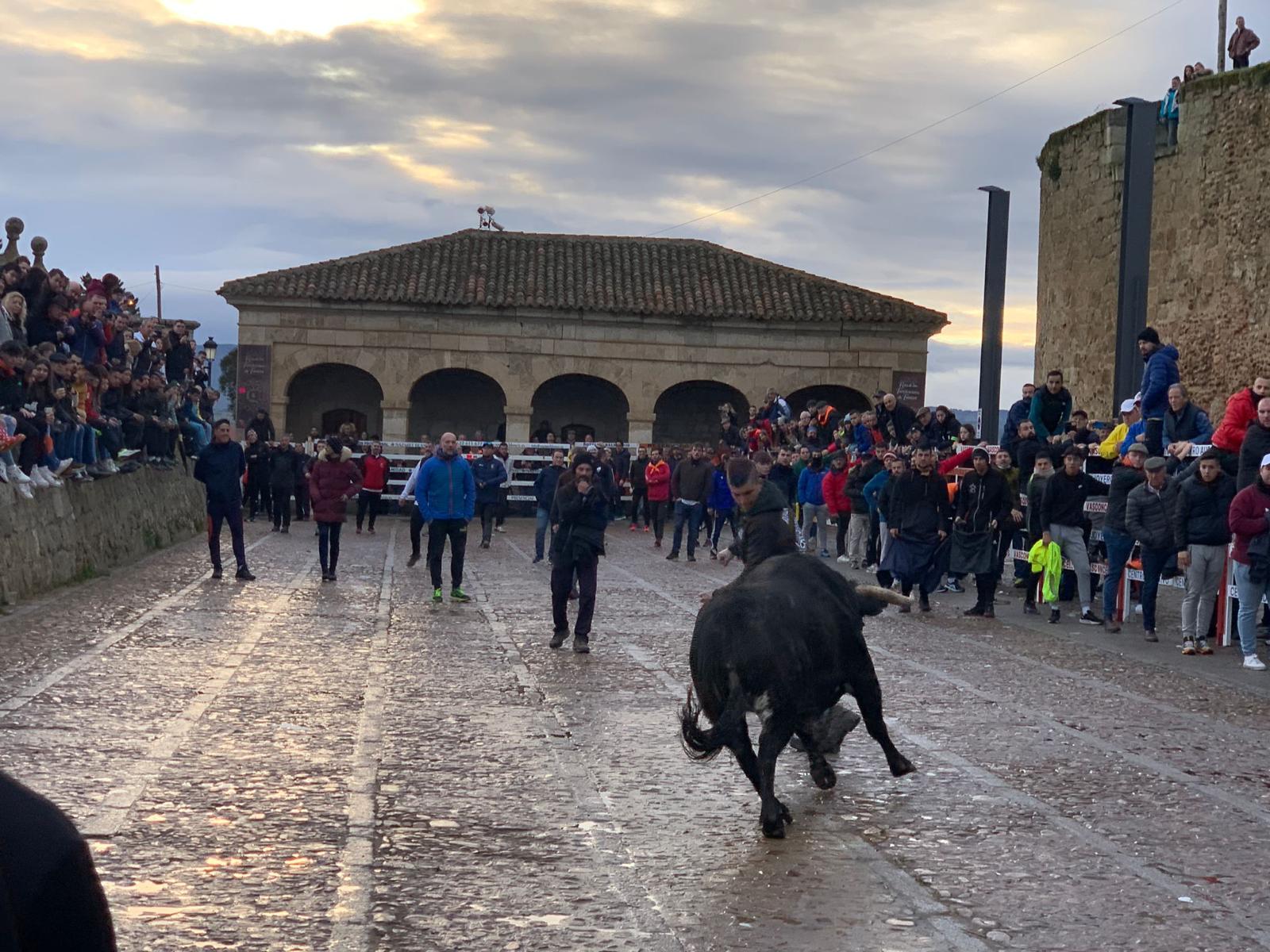 Toro del aguardiente en Ciudad Rodrigo. Carnaval 24 (1)