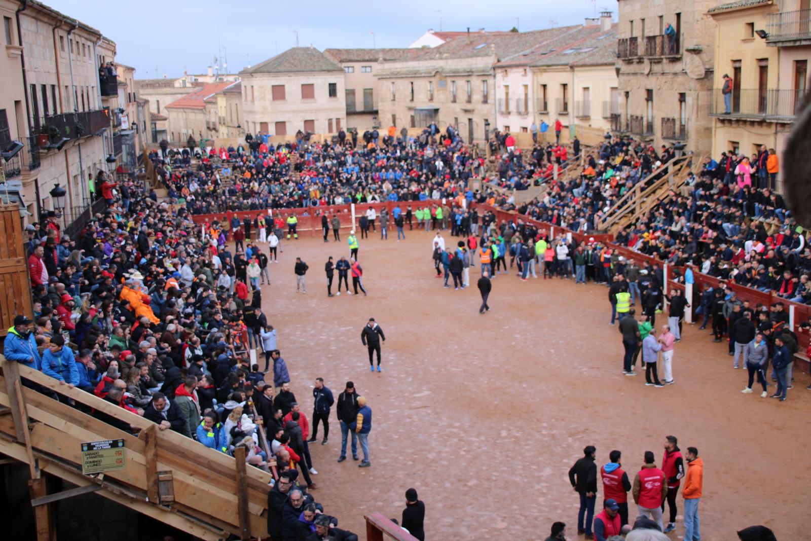 Toro del aguardiente en Ciudad Rodrigo. Carnaval 24 (3)