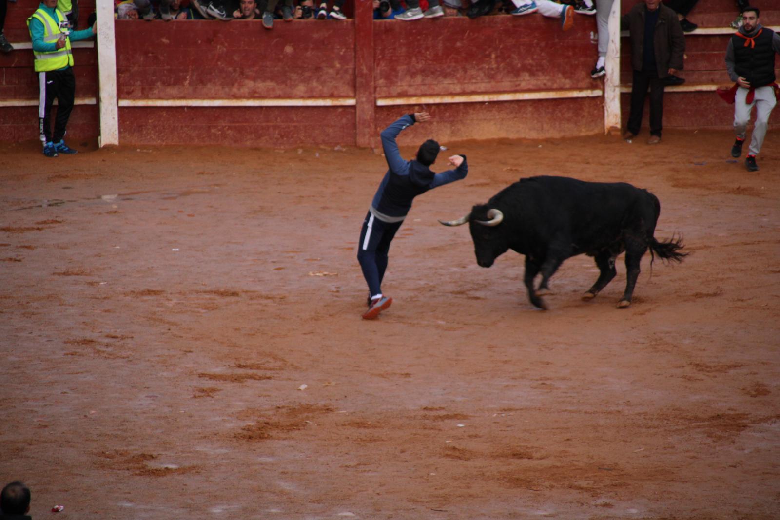 Toro del aguardiente en Ciudad Rodrigo. Carnaval 24 (8)