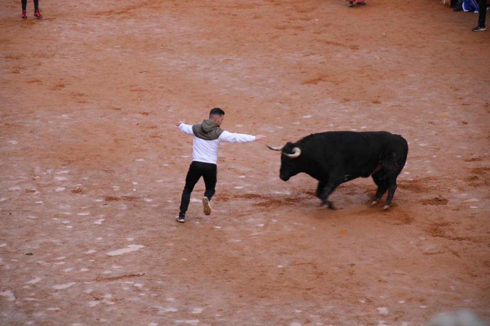 Toro del aguardiente en Ciudad Rodrigo. Carnaval 24 (12)