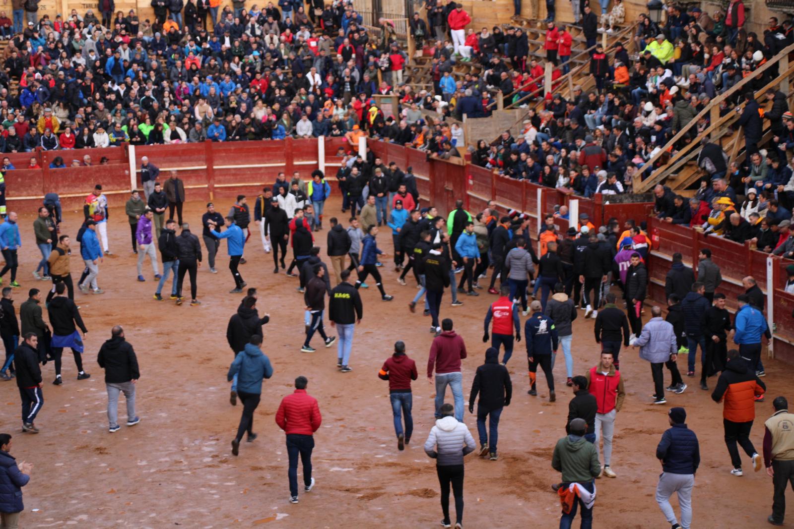 Toro del aguardiente en Ciudad Rodrigo. Carnaval 24 (14)