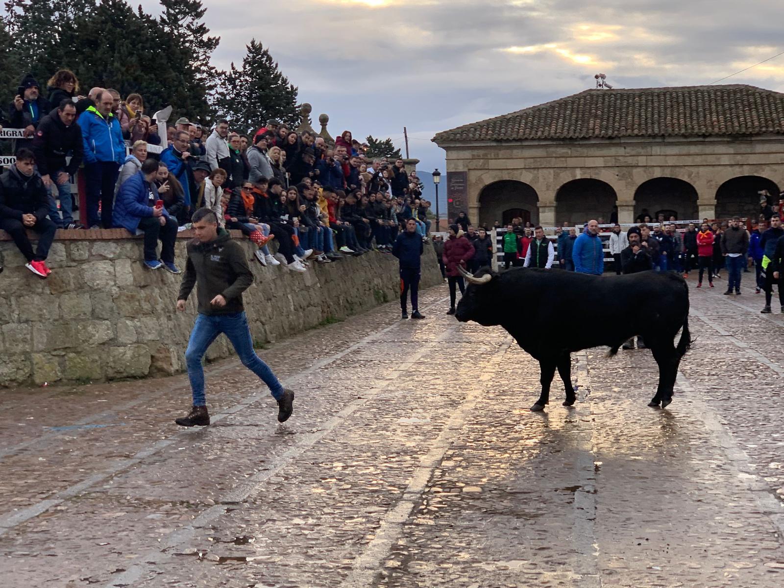 Toro del aguardiente en Ciudad Rodrigo. Carnaval 24 (27)