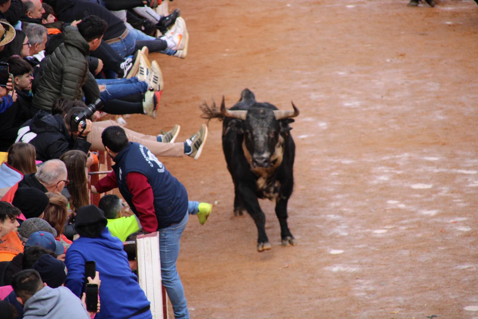 Encierro del martes de Carnaval en Ciudad Rodrigo (9)