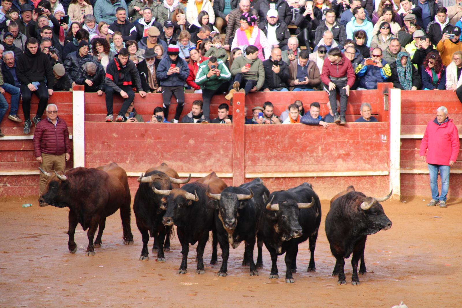 Encierro del martes de Carnaval en Ciudad Rodrigo (16)