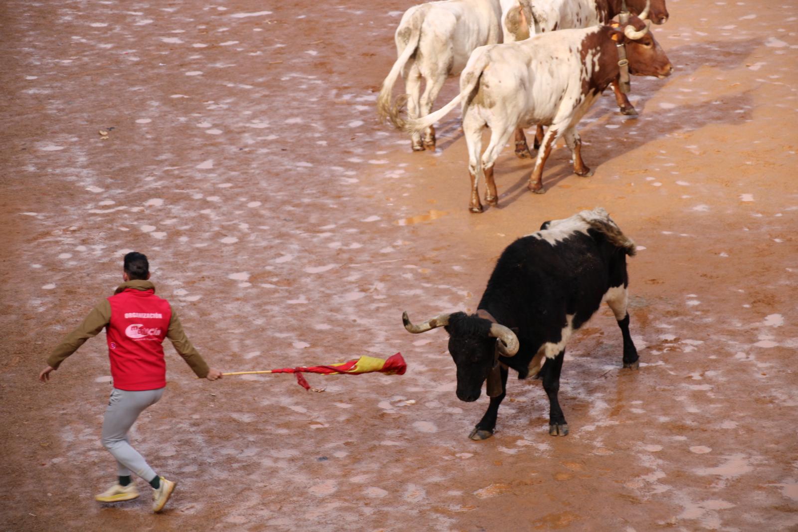 Encierro del martes de Carnaval en Ciudad Rodrigo (20)