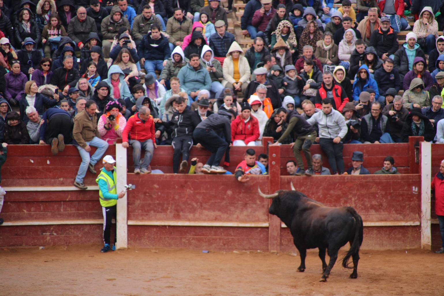 Capea matutina del martes Carnaval de Ciudad Rodrigo. Foto de archivo