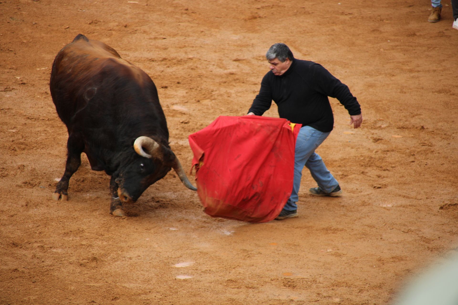 El matador de toros ‘El Almendra’ de maletilla en Ciudad Rodrigo. Foto S24H