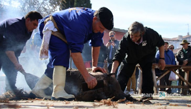 Matanza de los Arrieros en Guijuelo FOTOS | Andrea M 