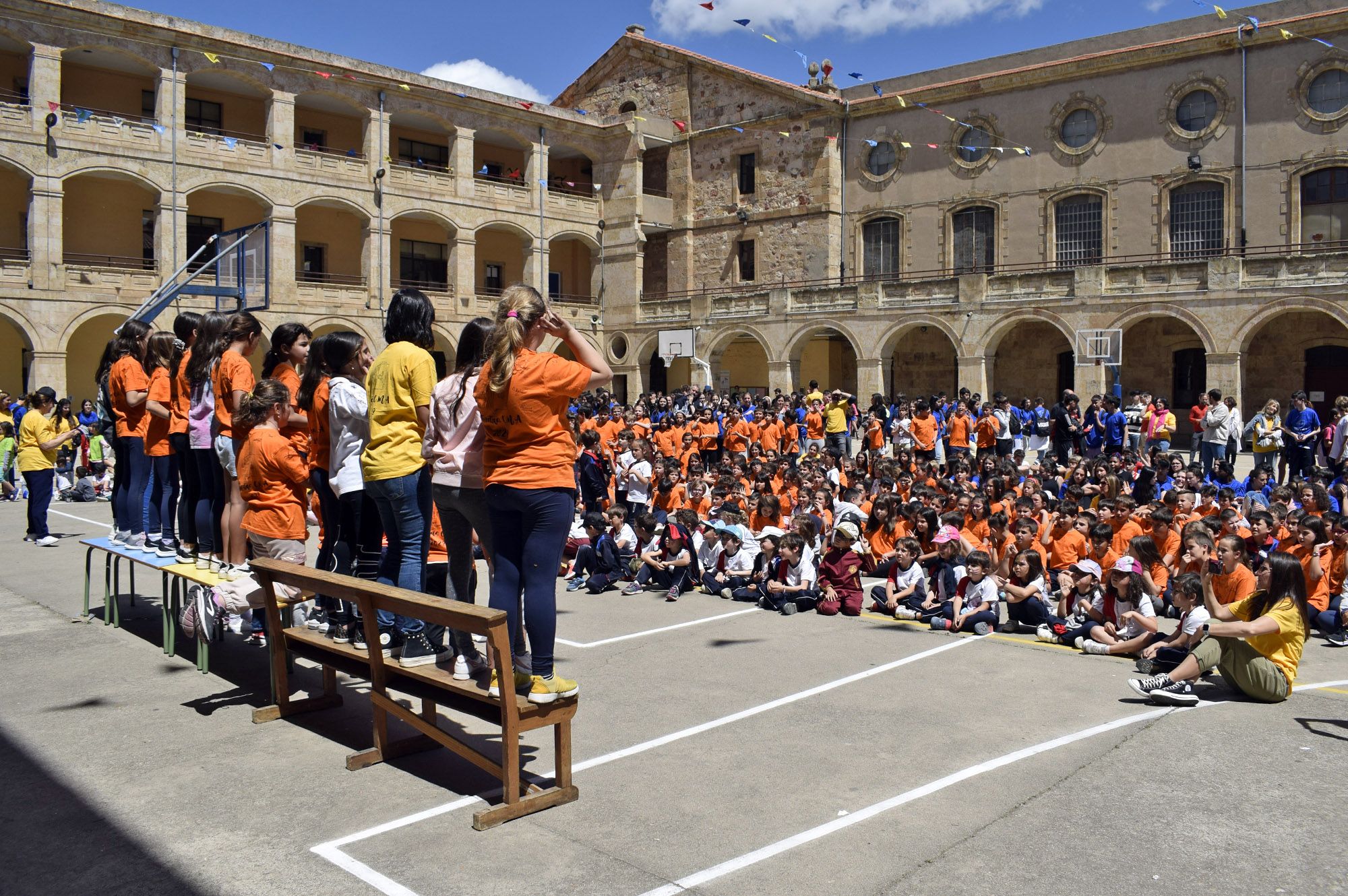 Colegio Maestro Ávila - Especial Enseñanza 2024