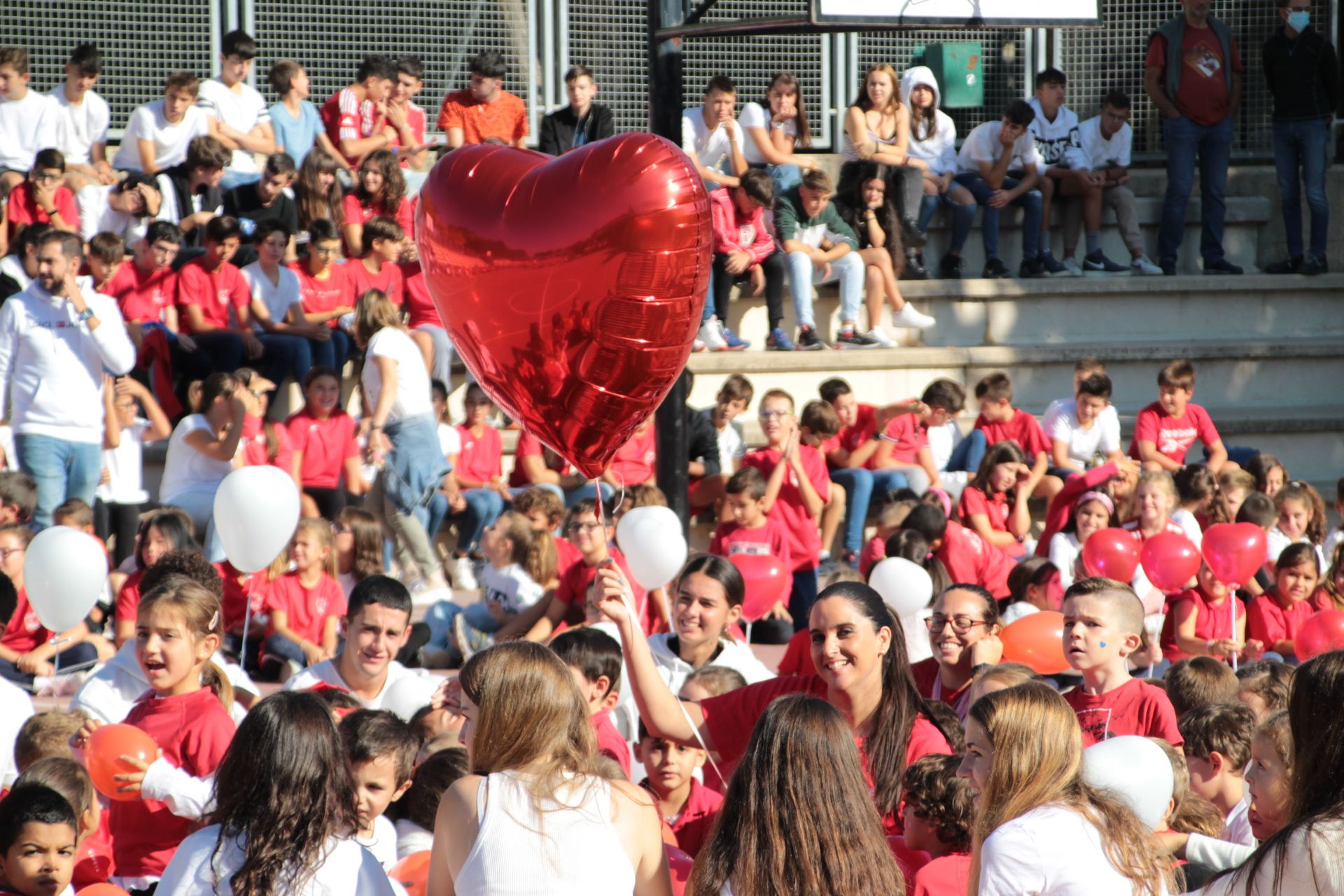 Colegio San Agustín - Especial Enseñanza 2024