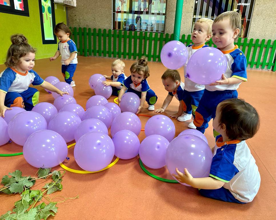 Colegio Maristas Salamanca - Especial Enseñanza 2024