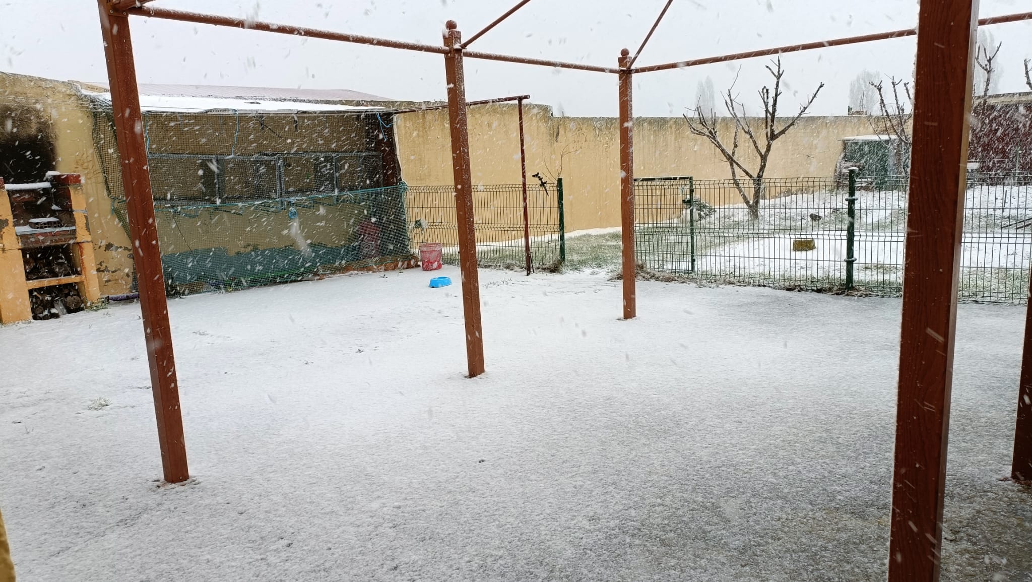 Nieve en Cantaracillo, sábado 2 de marzo (4)