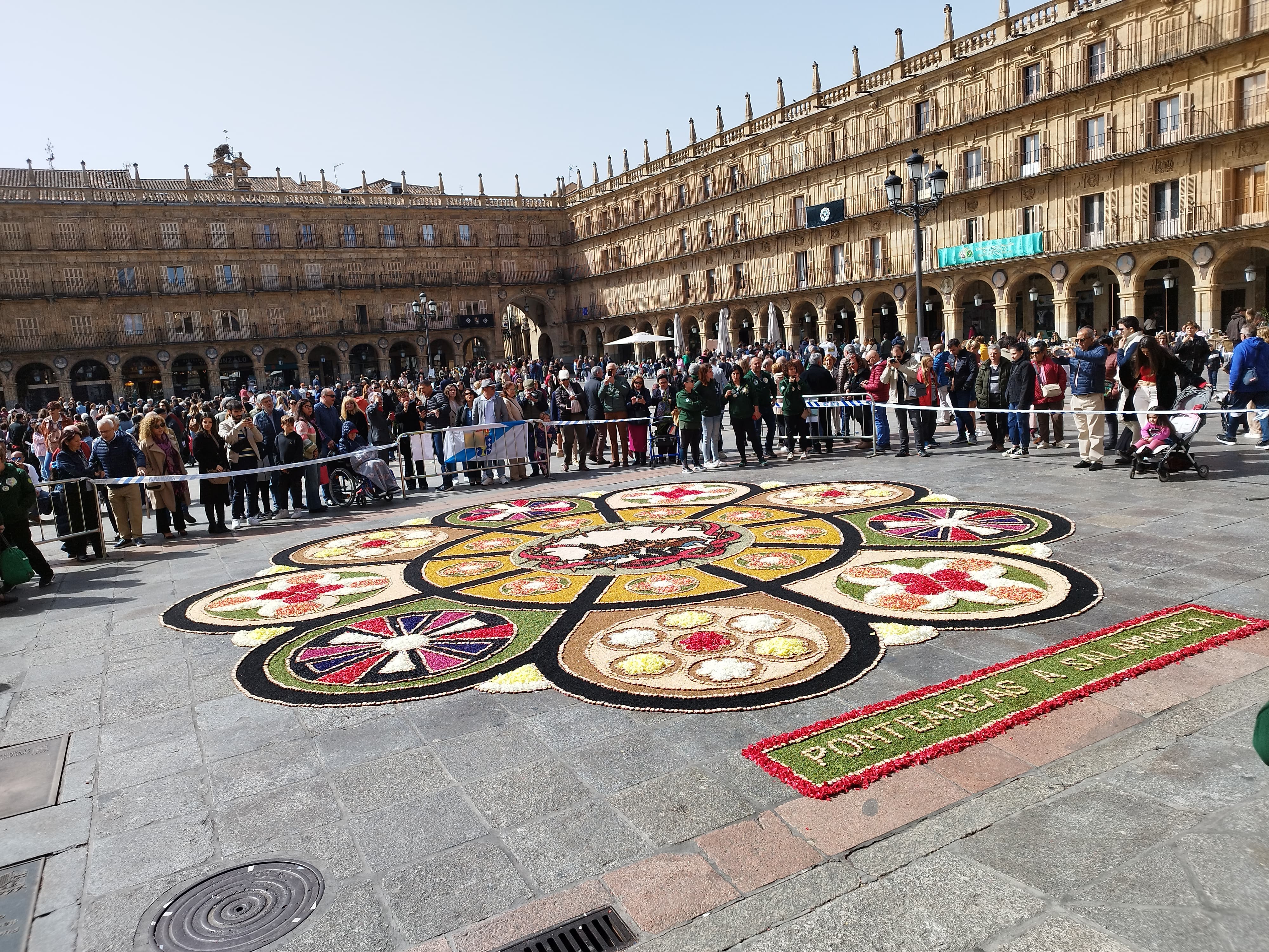 La Plaza Mayor amanece con una 'alfombra' de pétalos en forma de botón charro