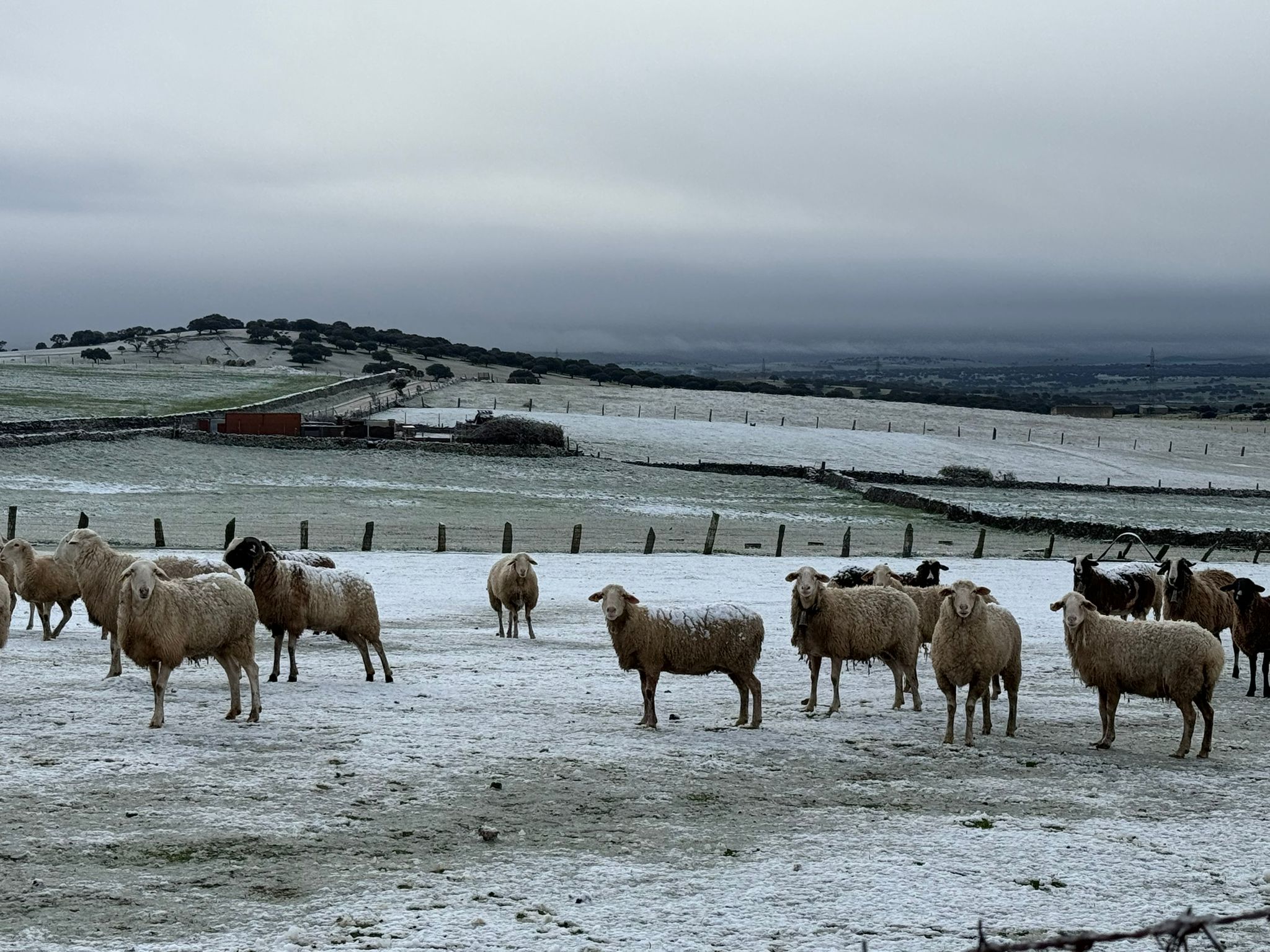 La nieve se deja ver en la provincia de Salamanca durante este Domingo de Resurrección. Pedrosillo de los Aires.