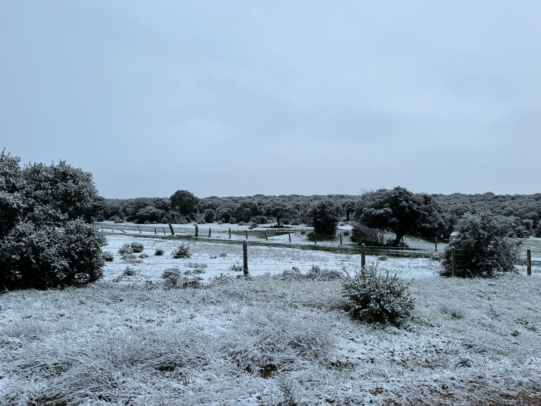 La nieve se deja ver en la provincia de Salamanca durante este Domingo de Resurrección. Pedrosillo de los Aires.