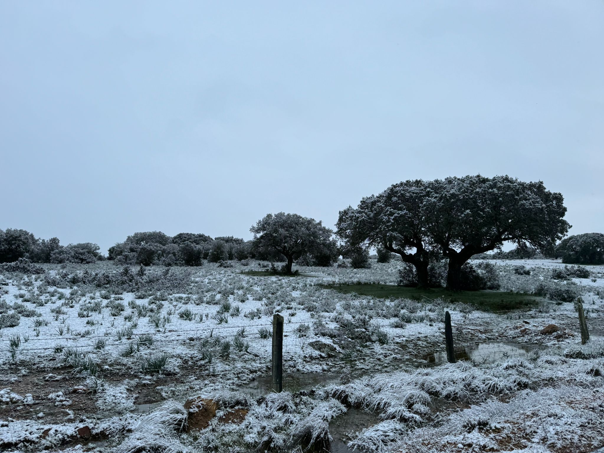 La nieve se deja ver en la provincia de Salamanca durante este Domingo de Resurrección. Pedrosillo de los Aires.