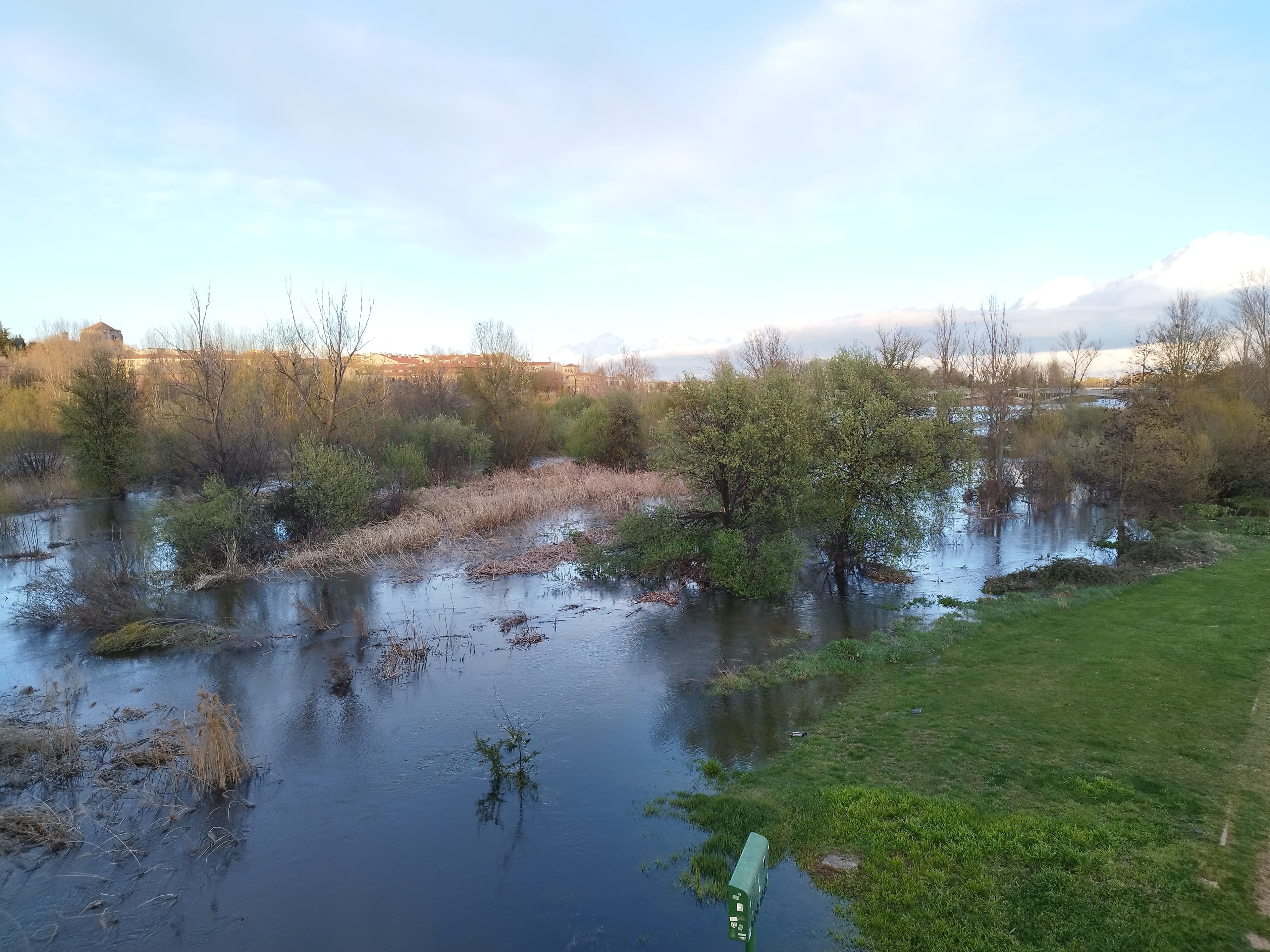 Crecida del caudal del río Tormes a su paso por Salamanca 