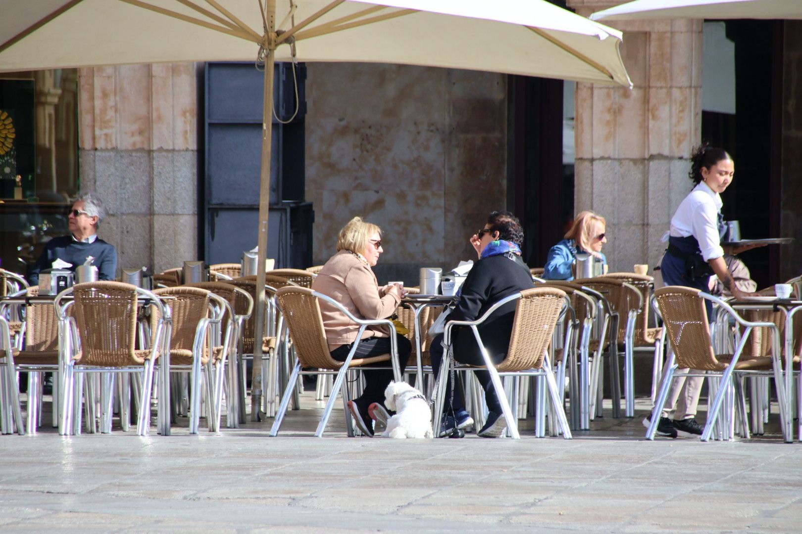 Terraza en la Plaza Mayor de Salamanca