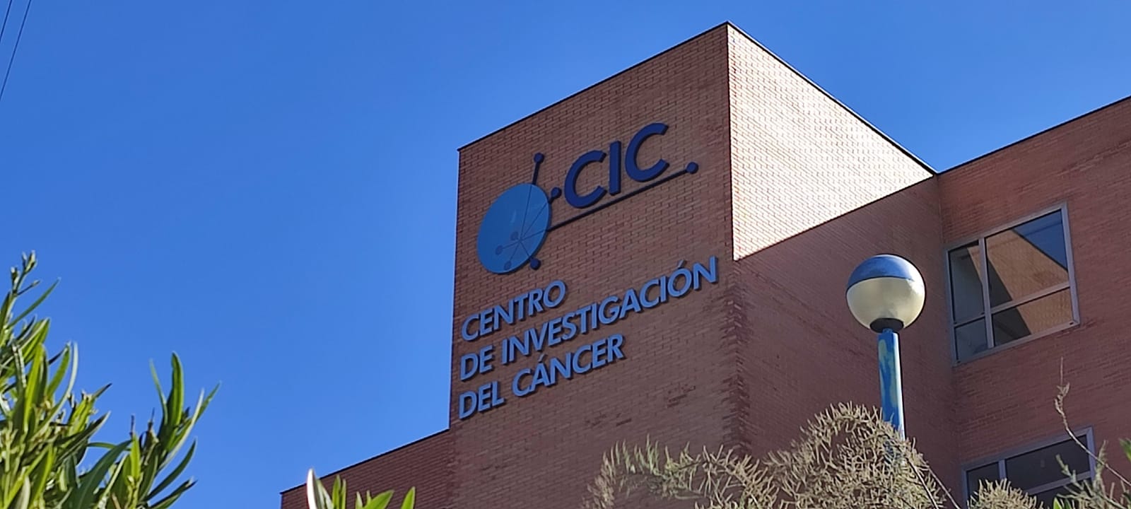 Centro de Investigación del Cáncer (CIC). Universidad de Salamanca. Archivo