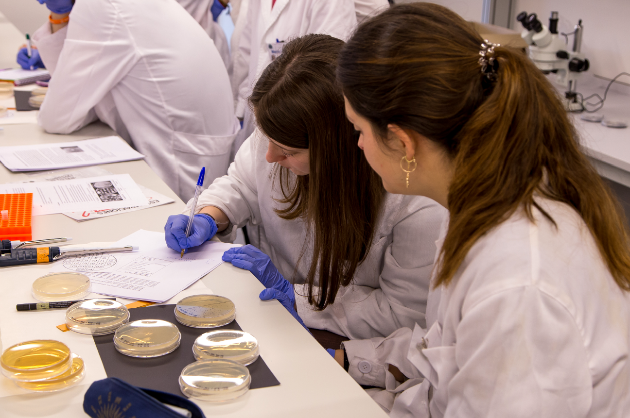 Trabajo en el laboratorio. IBFG