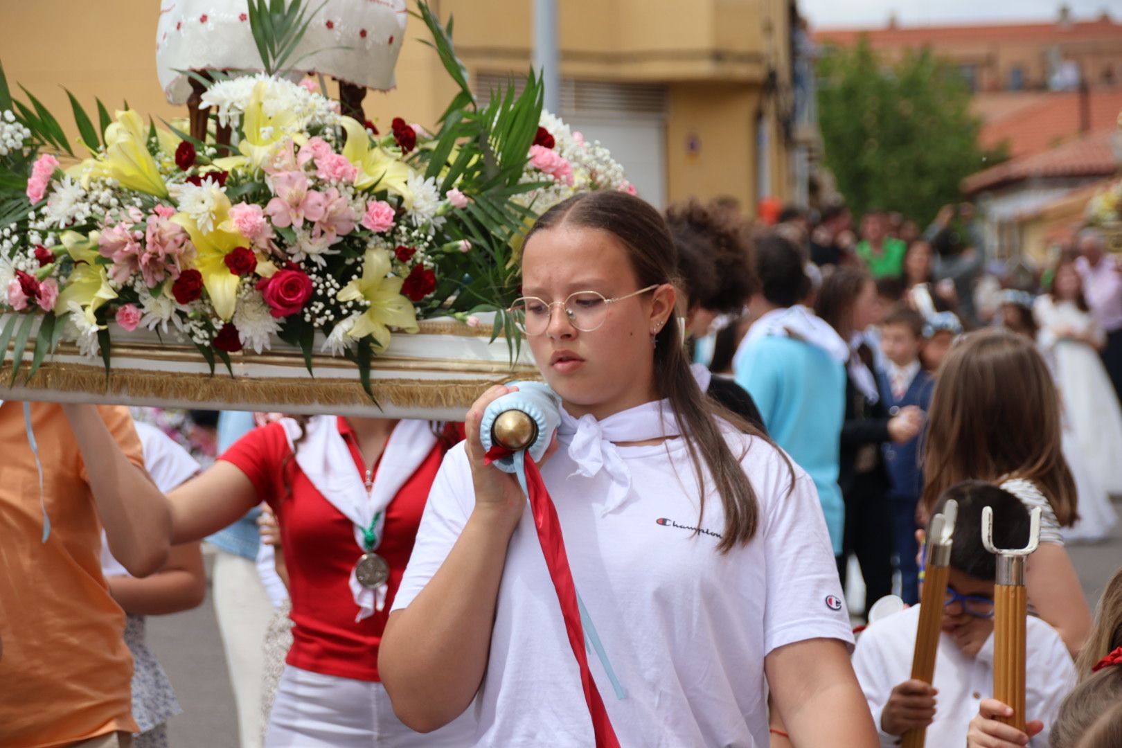 Procesión de la Virgen de la Salud en Tejares