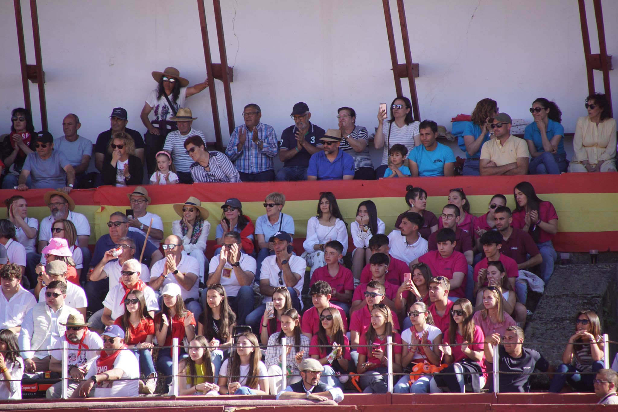 Novillada mixta en el Corpus de Ledesma 2024. Fotos Juanes 