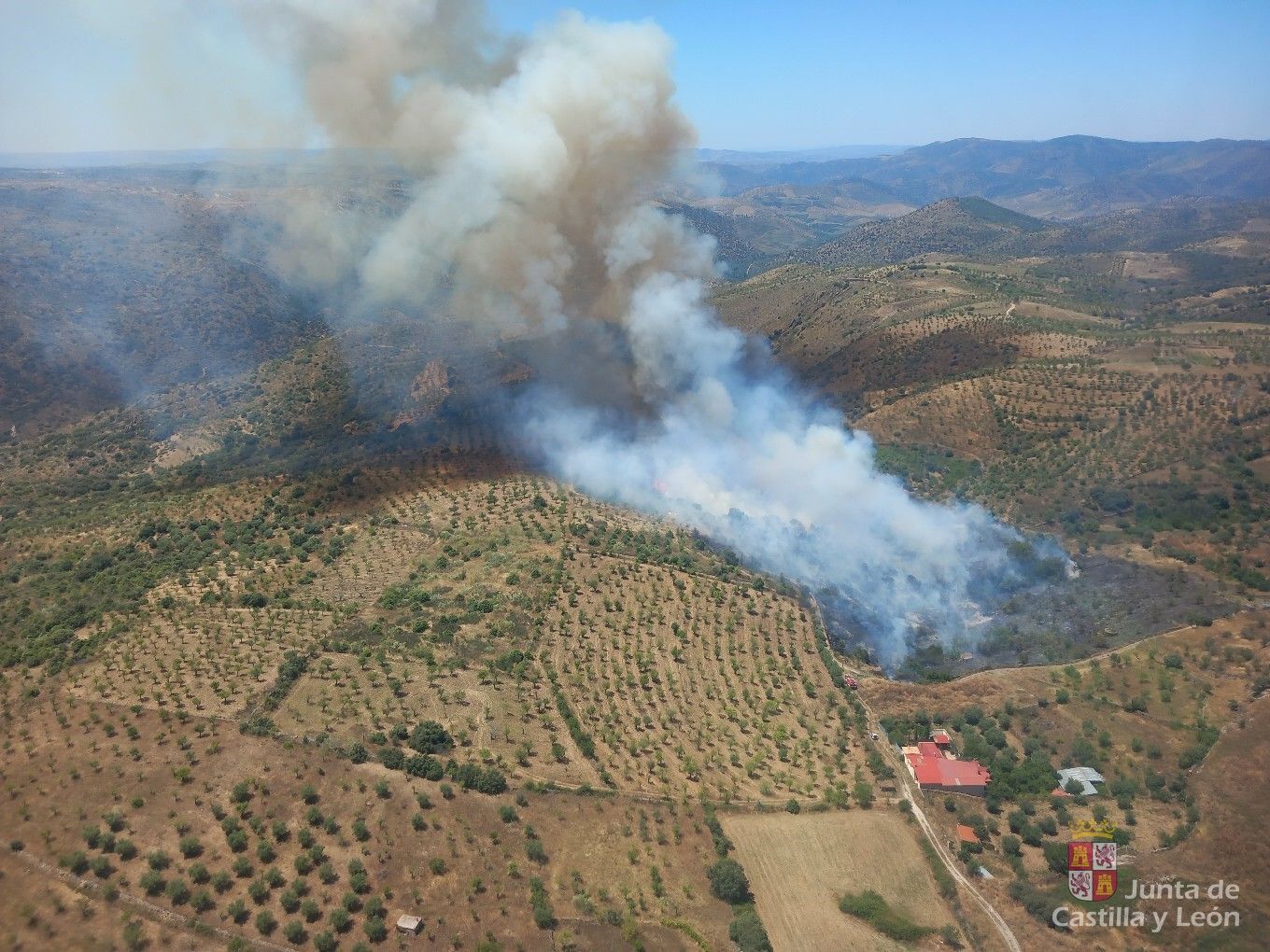 Incendio Fregeneda