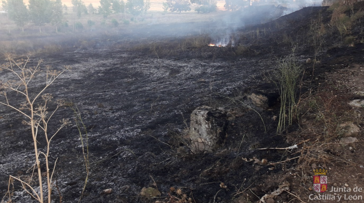 Incendio forestal en Villar de los Álamos. Fotografía de INFOCAL