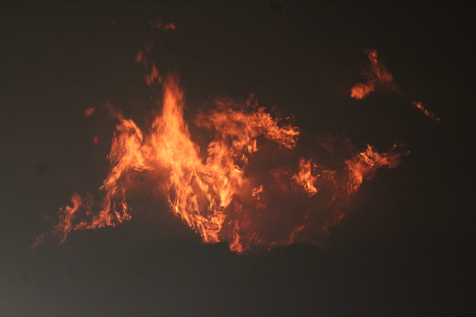 Incendio en Almenara de Tormes 