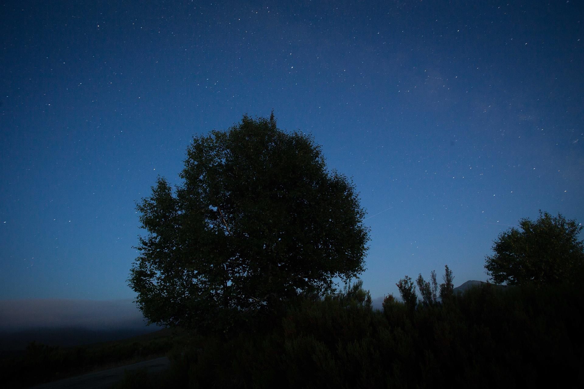  Lluvia de estrellas - Carlos Castro - Europa Press - Archivo