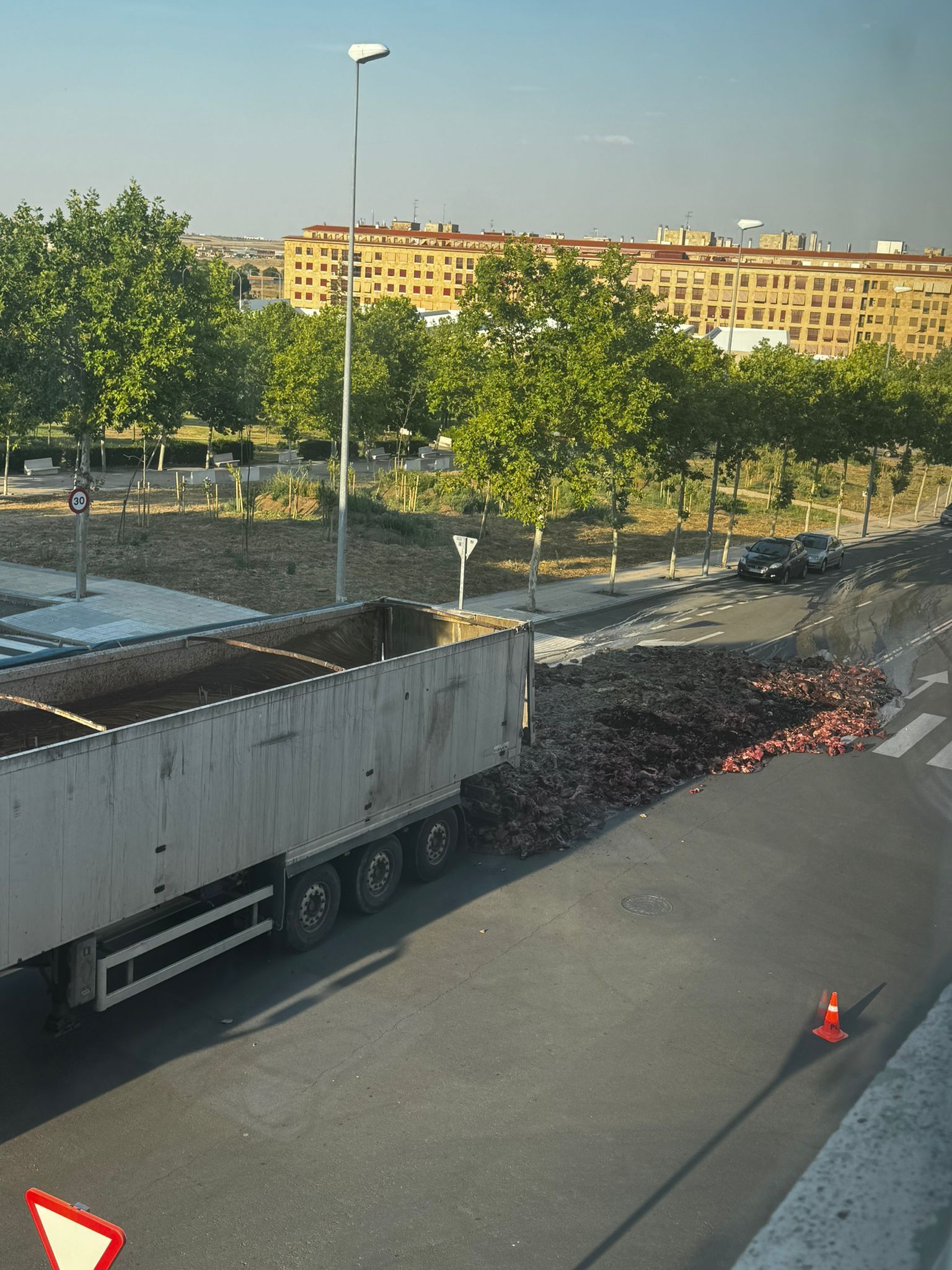 La puerta de un camión se abre y esparce miles de trozos de cerdo en la calle Astorga