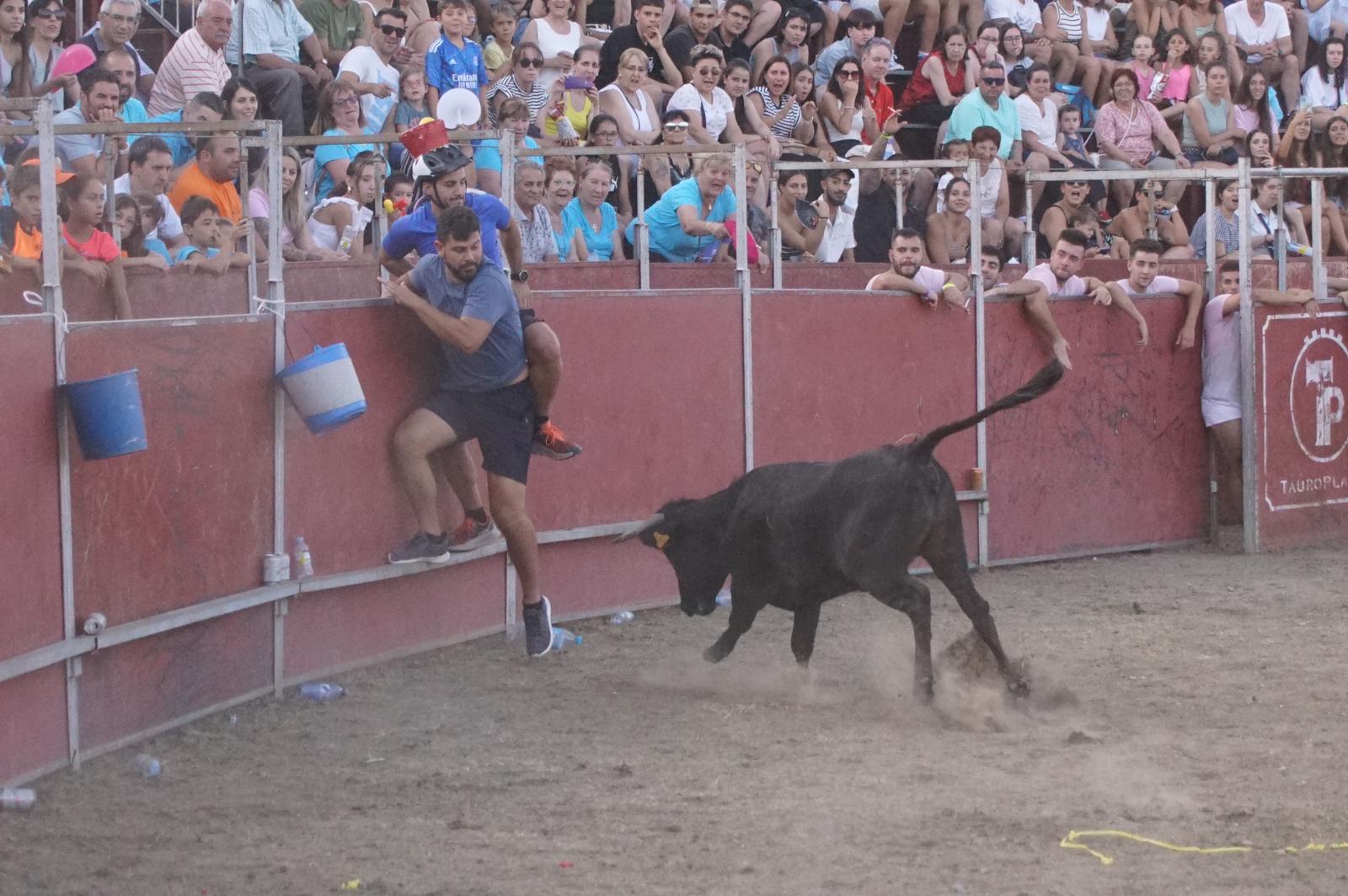 Gran Prix y capea popular en Santa Marta de Tormes. Fotos Juanes (16)