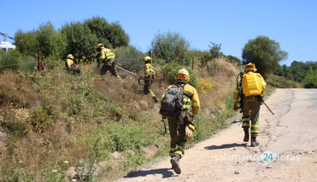 Incendio forestal en Cepeda 