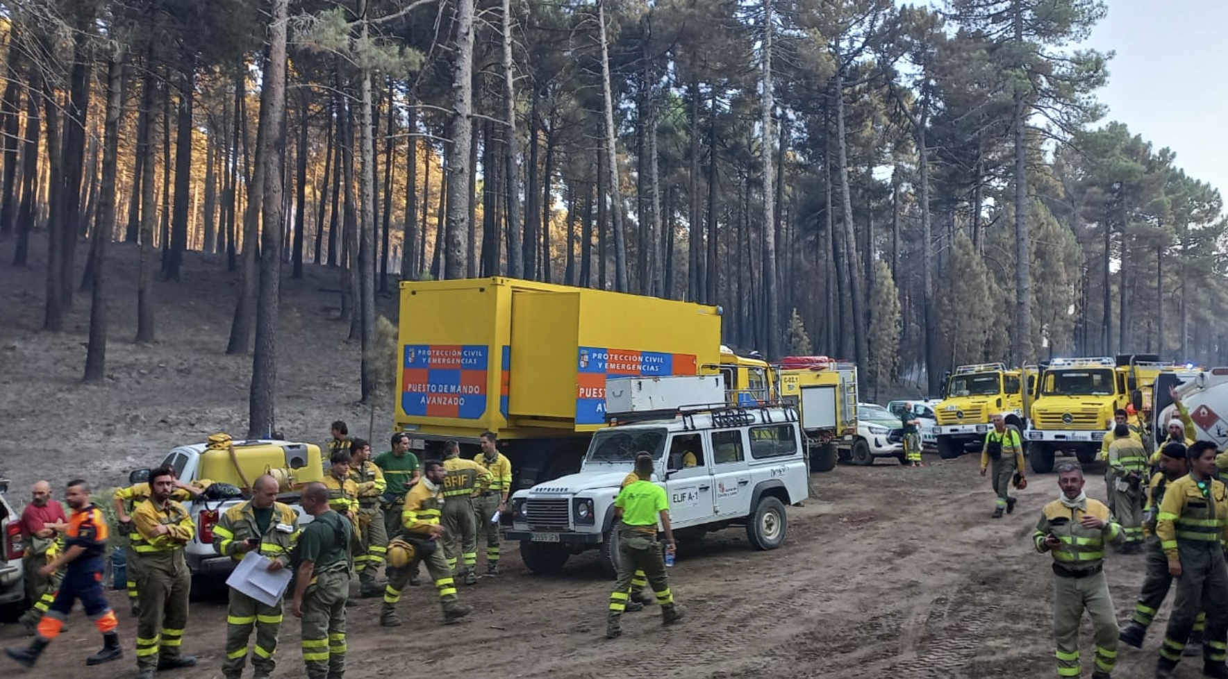 Parte de los medios y personal que trabaja en el incendio de El Hornillo. Foto: Asociación de Trabajadores de las BRIF