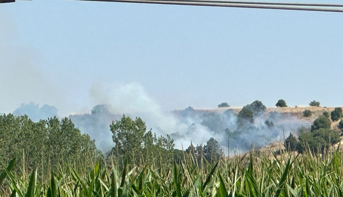 Incendio Pelabravo