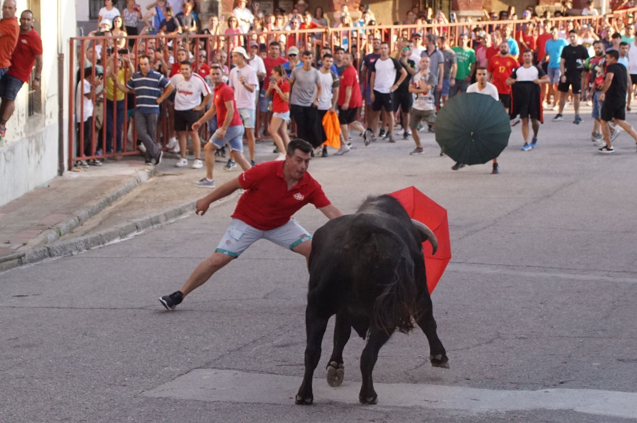 Ledesma disfruta de su primer Toro de Cajón y suelta de vaquilla