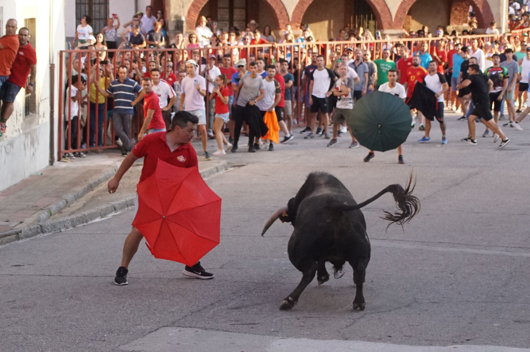 Ledesma disfruta de su primer Toro de Cajón y suelta de vaquilla